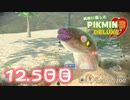 【実況】純粋に楽しむ ピクミン3 デラックス”　12.5日目