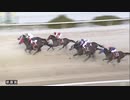 第63回新春賞 エイシンニシパ
