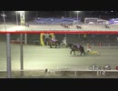 第14回天馬賞 メムロボブサップ