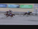 第57回報知オールスターカップ【地方全国交流】（川崎記念ＴＲ） タービランス
