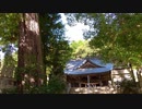 水晶ケ城跡の麓　「臼山八幡神社」Usuayama Hachiman (自然豊かな境内と紅葉の始まり)    広島市佐伯区石内