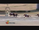 第24回名古屋記念 アドマイヤムテキ
