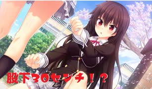 【バッチリ測定】ノラと皇女と野良猫ハート_第4回【PC実況】
