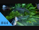クサイ息といえばお前だ｜FF15実況 part44