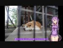 結月ゆかりと旅のあとさき　東北ツーリング　PART3【VOICEROID車載】
