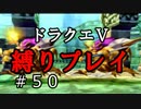 【ドラクエ5 縛りプレイ】ボブルの塔を攻略…レベル足りなさすぎ問題。Part50【アルカリ性】