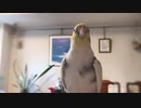 笑点？・・・じゃなかったぁーヽ(￣д￣;)ノ