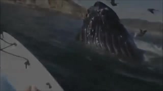 巨大生物