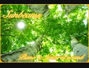 【BGM】木漏れ日のピアノ曲と自然音でゆったり【Piano & Natural sound BGM】Sunbeams