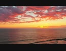 181015_13_Venice Beach Drone　西川晃司