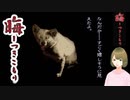 #108後半 晦-つきこもり 良夫と美少女転校生茜と謎の植物
