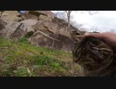 野良猫：「ちょっと怖いにゃ～」私：「それ～トントン♪」野良猫：「ふにゃ～♪」