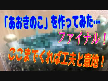 あおキノコを作ってみた！ファイナル！（きのこシリーズPart3）