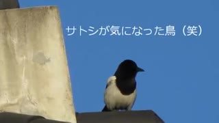 のまさんち「【コリアなんだ！計画】③いわゆる観光♪スライドショーでｗ」