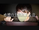 アクアリウムのための水槽台をタッピングする音【Okano's ASMR】