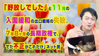 #902 「野放しでした」と１１月の往来緩和の出口戦略の失敗。「７年８ヶ月の長期政権で、でた不正がこれだけ」ネット民｜みやわきチャンネル（仮）#1042Restart902