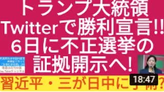 【YouTube不適切認定動画】＃119トランプ大統領Twitterで勝利宣言　6日に不正選挙の証拠開示へ！