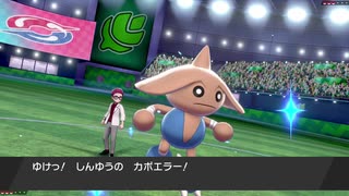 カポエラーが回るだけ