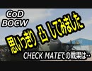 CODBOCW【熊猫実況】凸してナンボ！爽快に突っ込みましょう！！
