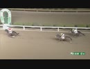 2021年1月5日佐賀競馬9R 佐賀若駒賞(3歳OP) ムーンオブザボス