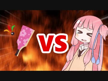 茜ちゃんVS羽つき