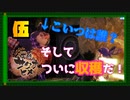 【PS5/天穂のサクナヒメ】ついに収穫の時期を迎えました。【#5】