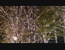 I Promise(フルート＋ピアノ)/King&Prince