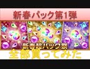 BLEACH ブレソル実況 part1996(新春パック第1弾 全部買ってみた)