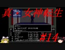 【ゆっくり実況】 真・女神転生 #14（SFC版）