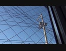 自宅前の電線を通過したカラスが黄色に発光