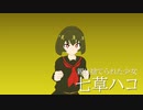 「ＢＯＸ　ＧＩＲＬＳ！」アニメＰＶ