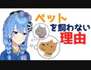 【星街すいせい】車の運転をしながらペットを飼わない理由を語るすいちゃん【ホロライブ切り抜き】