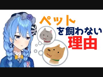 【星街すいせい】車の運転をしながらペットを飼わない理由を語るすいちゃん【ホロライブ切り抜き】