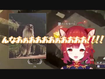 絶叫するビーバーとレッサーパンダの比較