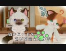 【ネコトモ】猫が飼われる人を間違えたようです #1