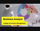 Business Analyst