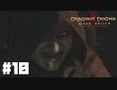 仕事辞めたので覚者になる。#10【ドラゴンズドグマダークアリズン】【DDDA】