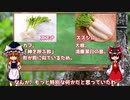 春の七草について語る