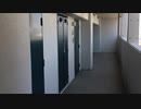 VS とびこの軍艦巻き