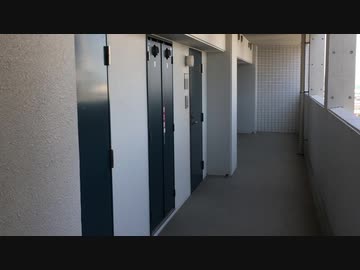 VS とびこの軍艦巻き