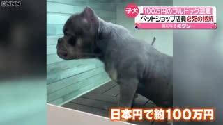 脇に抱え…“１００万円の犬”連れ去る　米