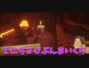 【Minecraft】１にち３０ぷんまいくら【41日目】