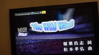 The Wild Wind/B'z