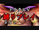 【ドラクエ5 縛りプレイ】ボブルの塔対策でレベリング、時々ブオーン。Part51【アルカリ性】
