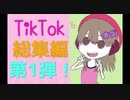 TikTok総集編第1弾！