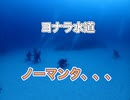 ヨナラ水道ドリフトダイビング・ノーマンタ！
