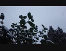 【試製】Winter,again【1コーラス歌ってみました】