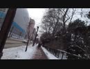 2021/1/7(木) 反日カルト、集団ストーカー組織共謀犯罪周知 札幌ゲリラ街宣ー⑤