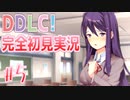【DDLC/初見実況】美少女だらけのドキドキ文芸部ライフ、幼馴染が何か変です...。【#5】