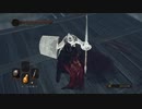 【DARK SOULS Ⅱ SCHOLAR OF THE FIRST SIN】-絶望を焚べよ-　１週目を普通に攻略　～其の２７～【ダクソ２】